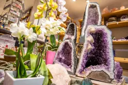 Blumen Sohn Mineralien, Tee & Pflanzen | Köln in 51107 Köln: